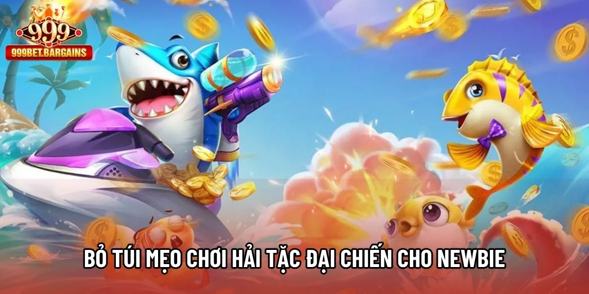 Bỏ túi mẹo chơi Hải Tặc Đại Chiến cho newbie