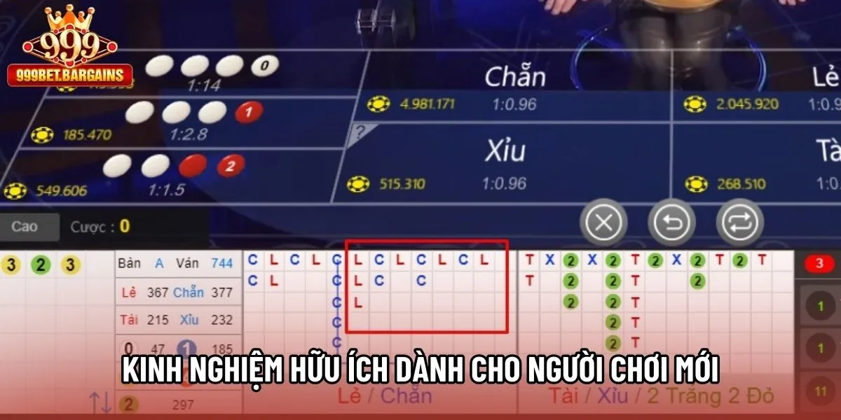 Kinh nghiệm hữu ích dành cho người chơi mới