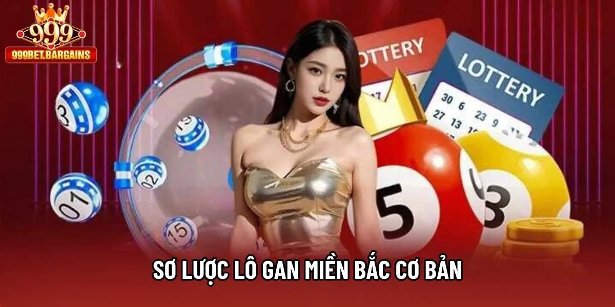 Sơ lược lô gan miền Bắc cơ bản