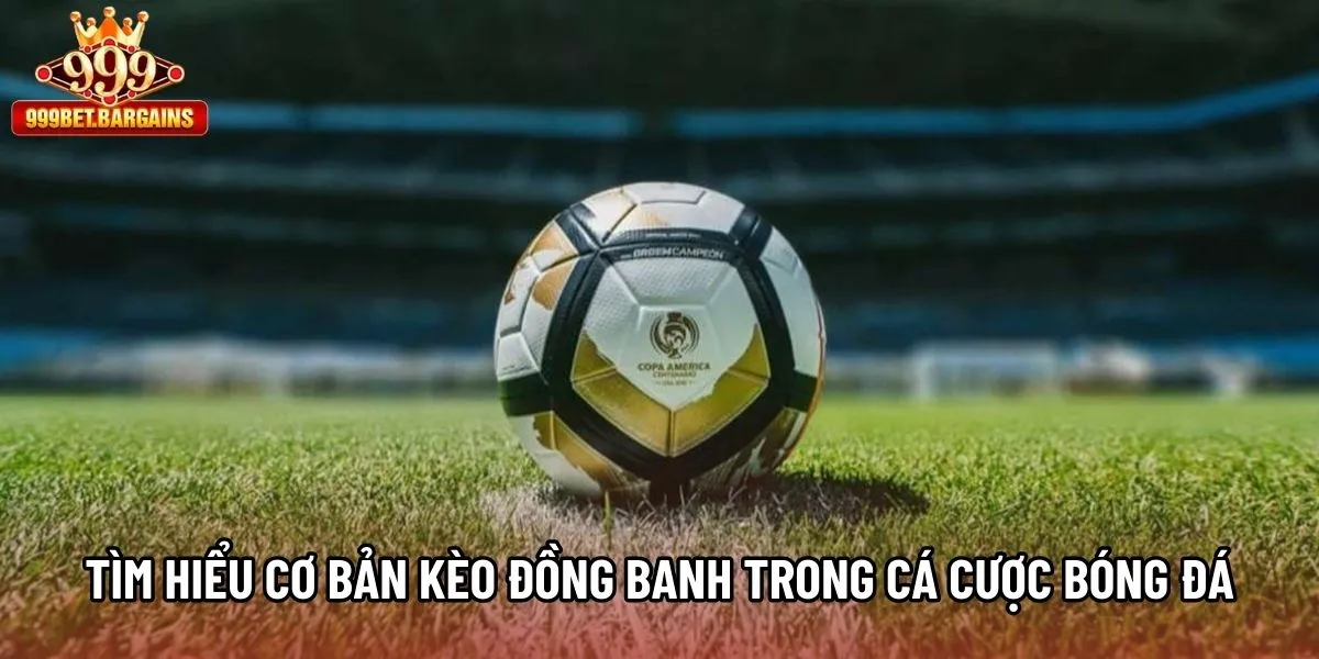 Tìm hiểu cơ bản kèo đồng banh trong cá cược bóng đá